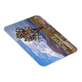 Cinder Cones, Joshua Tree, Mojave N Preserve, CA Magnet (Rechte Seite)