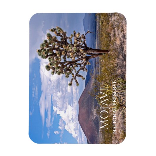 Cinder Cones, Joshua Tree, Mojave N Preserve, CA Magnet (Vertikal)