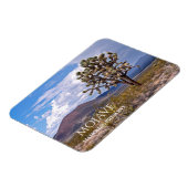 Cinder Cones, Joshua Tree, Mojave N Preserve, CA Magnet (Linke Seite)