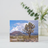 Cinder Cones, Joshua Tree, Mojave N Preserve, CA Postkarte (Stehend Vorderseite)