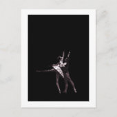 Cinderella Postkarte (Vorderseite)