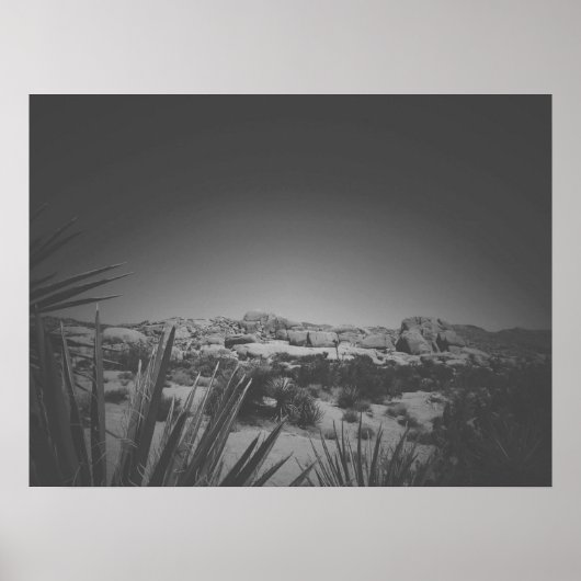Cinematic Black and White Joshua Tree Boulders Poster (Vorne)