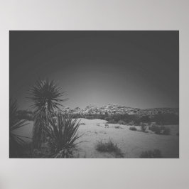Cinematic Noir Black and White Joshua Tree Poster
