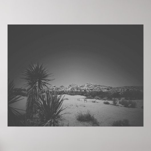 Cinematic Noir Black and White Joshua Tree Poster (Vorne)