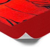 Cinematographie - Poster (Ecke)