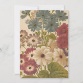 Cineraria | George Nicholson (Vorderseite)