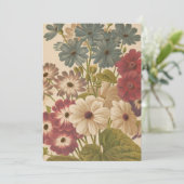 Cineraria | George Nicholson (Stehend Vorderseite)