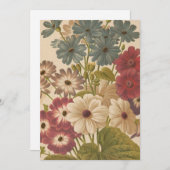 Cineraria | George Nicholson (Vorne/Hinten)