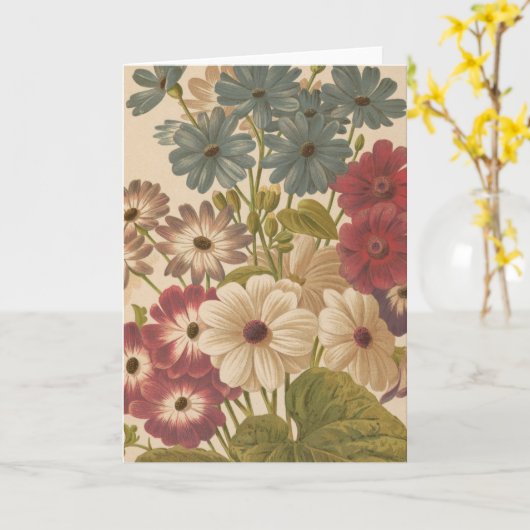 Cineraria | George Nicholson Karte (Gelbe Blume)