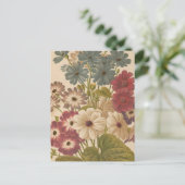 Cineraria | George Nicholson Postkarte (Stehend Vorderseite)