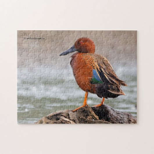 Cinnamon Aquamarin Drake rückwärts Puzzle (Horizontal)