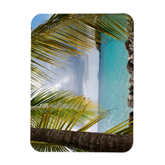 Cinnamon Bay, St. John, USVI Magnet (Vertikal)