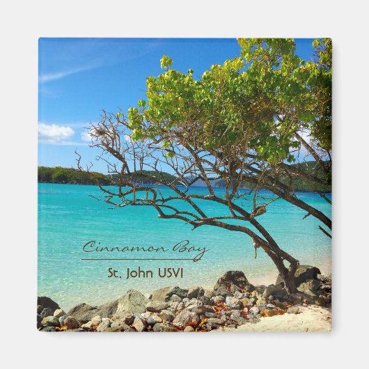 Cinnamon Bay St. John USVI Magnete Magnet (Vorne)