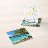 Cinnamon Bay St. John USVI Tropical Untersetzer (Vor Ort)