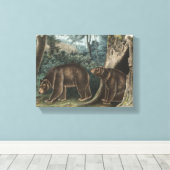 Cinnamon Bear Audubon Leinwanddruck (Insitu (Holzboden))