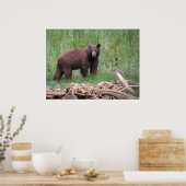 Cinnamon Bear Poster (Küche)
