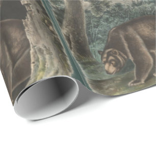 Cinnamon Bear von John James Audubon Geschenkpapier