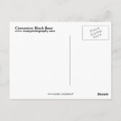 Cinnamon Black Bear Postkarte (Rückseite)