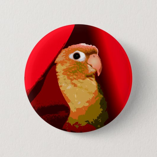 Cinnamon Green Cheek Conure Parakeet Pet Bird Button (Vorderseite)