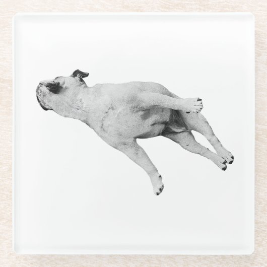 Cinnamon Pause Glasuntersetzer (Vorderseite)