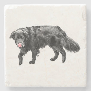 Cinnamon Steam, Scarlet Lick Steinuntersetzer