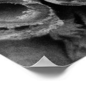 Cinnamon Sticks Poster (Ecke)