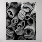 Cinnamon Sticks Poster (Vorne)