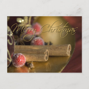 Cinnamon Weihnachts-Postkarte Feiertagspostkarte