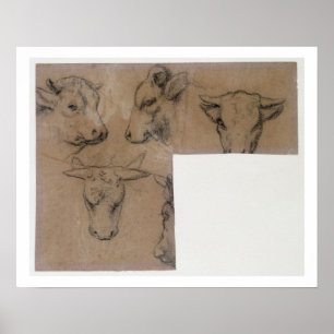 Cinq Croquis de Tete de vache (Bleistift auf Poster