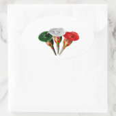 Cinqo de Mayo Ovaler Aufkleber (Tasche)