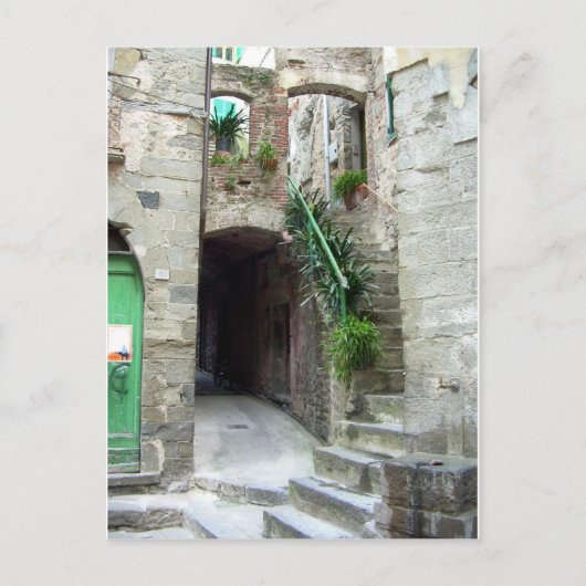 Cinque Terre (Corniglia Street) Postkarte (Vorderseite)