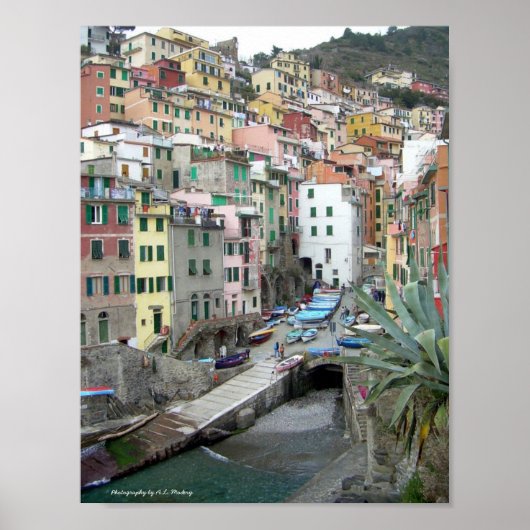 Cinque Terre (Riomaggiore Harbor) Poster (Vorne)