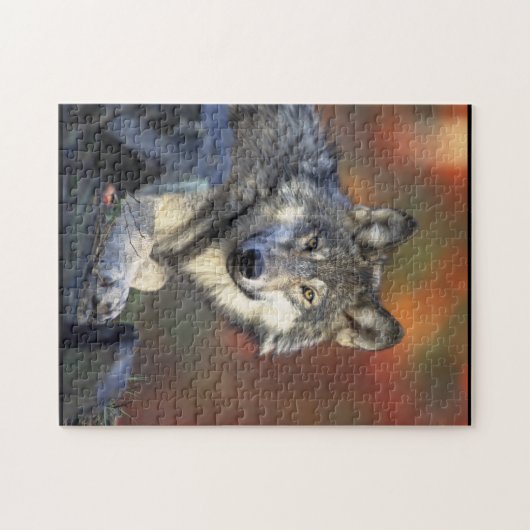 Cinus Lupus Puzzle (Horizontal)