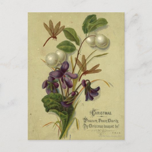 Circa 1881: Snowberries und Veilchen Postkarte (Vorderseite)