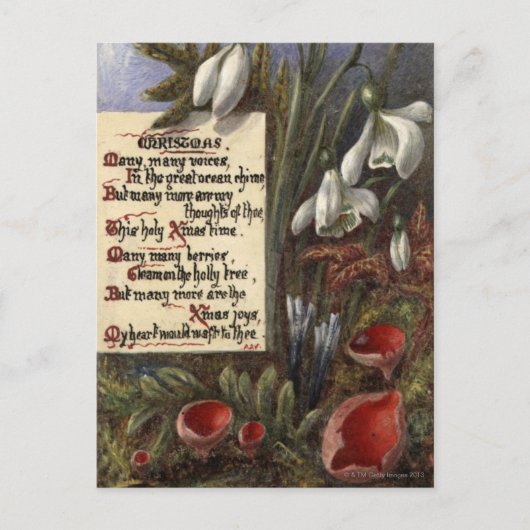 Circa 1890: Schneefälle Postkarte (Vorderseite)