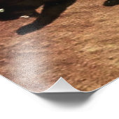 "Circe the Enchantress" von Edmund Dulac Fotodruck (Ecke)