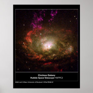 Circinus Galaxy Hubble Telescope Poster