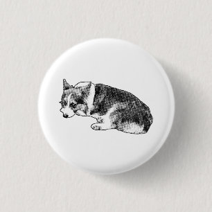 Circle Corgi, weicher Blick Button