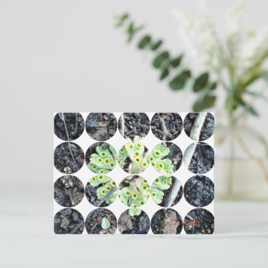 Circle Foto Postkarte (Stehend Vorderseite)