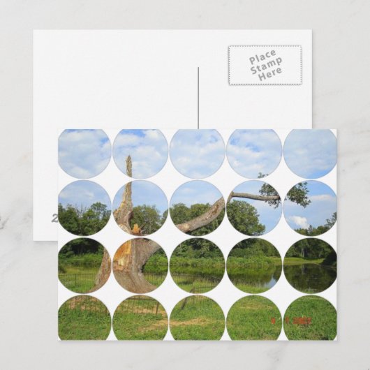 Circle Foto Postkarte (Vorne/Hinten)