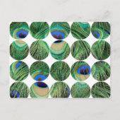 Circle Foto Postkarte (Vorderseite)