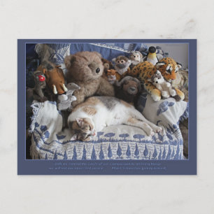 "Circle of Compassion" Miriam Kilmer risingdove Feiertagspostkarte