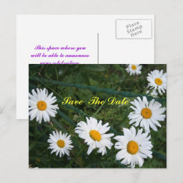 Circle of Daisies Save the Date Postcard Ankündigungspostkarte