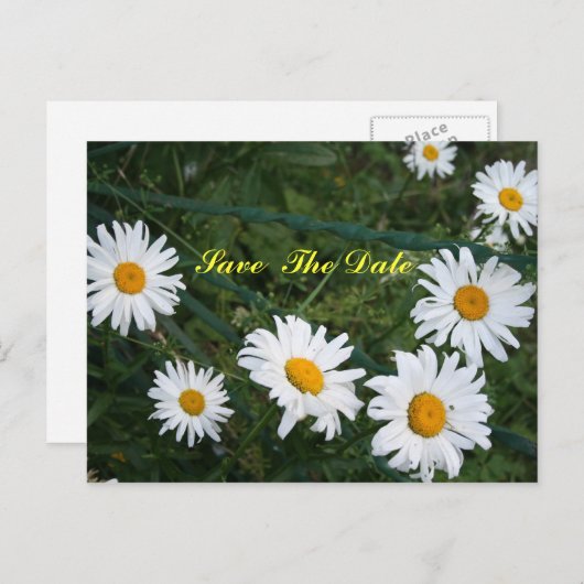 Circle of Daisies Save the Date Postcard Ankündigungspostkarte (Vorne/Hinten)