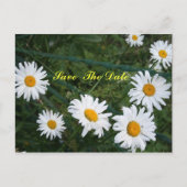 Circle of Daisies Save the Date Postcard Ankündigungspostkarte (Vorderseite)