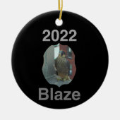 Circle Ornament Blaze der Keramik 2022 (Vorne)
