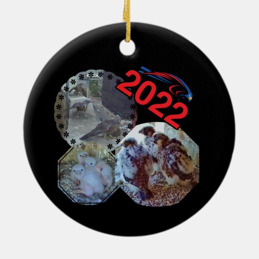 Circle Ornament Blaze der Keramik 2022 (Hinten)