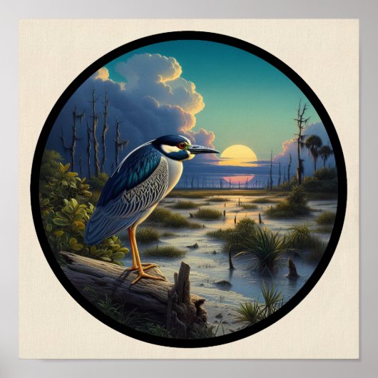 Circular 3D-Bild eines gelb gekrönten Nachtherons Poster (Vorne)