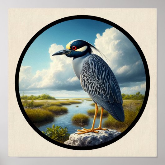 Circular 3D-Bild eines gelb gekrönten Nachtherons Poster (Vorne)