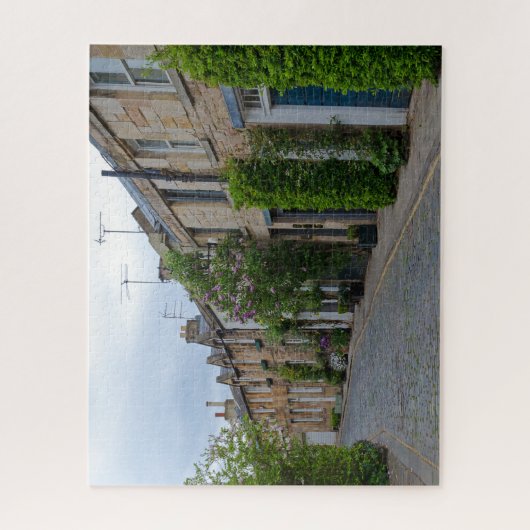 Circus Lane Edinburgh Jigsaw Puzzle (Vertikal)